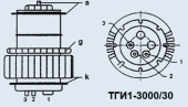 ТГИ1-3000/30